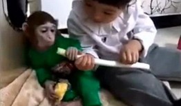 忽悠女孩说吃瓜,揭秘“吃瓜”背后的恋爱心机