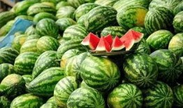 91今日吃瓜热门大瓜每日,热门大瓜每日新鲜出炉！