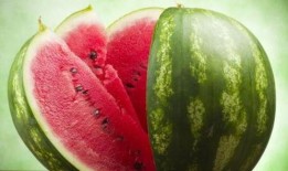 斗鱼南枫吃瓜,揭秘网络红人的幕后故事