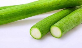 老人吃瓜素材,探寻老人生活中的甜蜜时光