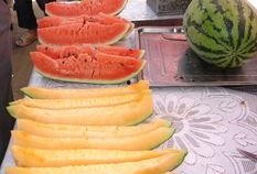 吃瓜的白白子,揭秘“吃瓜群众”背后的白白子世界