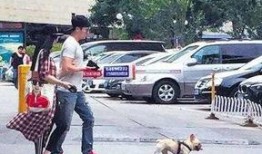 宁晋遛狗吃瓜事件