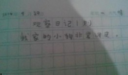 吃瓜150字日记,揭秘娱乐圈幕后故事