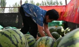 创造营吃瓜基地,吃瓜基地揭秘，明星幕后故事大曝光