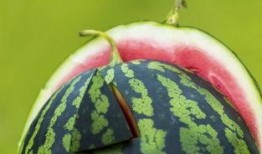 吃瓜吃吐了小西瓜特效,揭秘“吃瓜吃吐”小西瓜特效