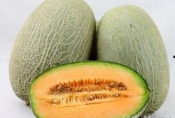 吃哈密瓜最佳吃法,解锁最佳食用秘诀