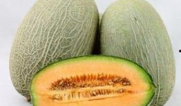 吃哈密瓜最佳吃法,解锁最佳食用秘诀
