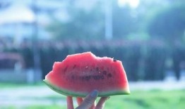 安静吃瓜图片大全,盘点那些安静吃瓜的温馨瞬间