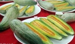 吃绿色的瓜,健康生活新选择