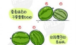 安静吃瓜正确方法,安静吃瓜的正确姿势与礼仪