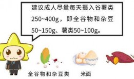 吃瓜寒假宅家指南,轻松度过无聊时光的秘籍
