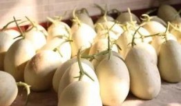 村口安心吃瓜,揭秘乡村生活的甜蜜与苦涩