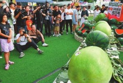 吃瓜沈阳,吃瓜群众眼中的城市风云录