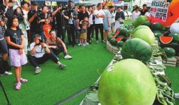 吃瓜沈阳,吃瓜群众眼中的城市风云录