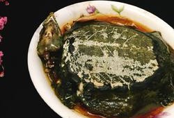 甲鱼会吃瓜了吗,学会吃瓜的奇妙转变