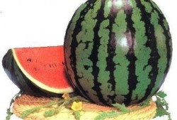 吃瓜的影响,揭秘网络舆论的蝴蝶效应