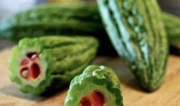 被别人说吃瓜,揭秘那些被热议的“吃瓜”事件