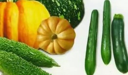 小严吃瓜,揭秘娱乐圈那些不为人知的幕后故事