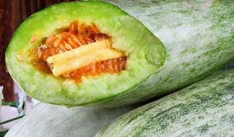 欢瓜怎么吃,解锁美味新体验