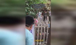 不会吃瓜吧视频,带你领略网络热点的背后真相