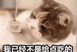 吃瓜阿姨表情,揭秘网络热梗背后的真实情感