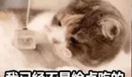 吃瓜阿姨表情,揭秘网络热梗背后的真实情感