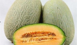 冬天吃瓜好吗,冬天吃瓜的益处与注意事项