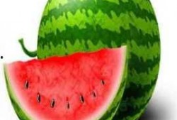 吃瓜会长成果视频,成果视频背后的精彩瞬间