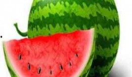 吃瓜会长成果视频,成果视频背后的精彩瞬间