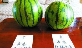 泰圈吃瓜pp,一场娱乐圈的狂欢盛宴