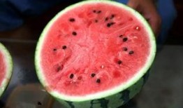 吃瓜圈最新,热点事件盘点与幕后真相