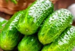 免贵吃瓜网站,网络热点的幕后故事