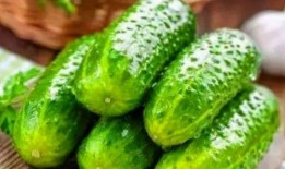 免贵吃瓜网站,网络热点的幕后故事