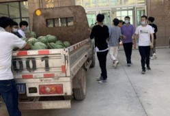 寮步吃瓜新闻,揭秘当地热点事件背后的真相