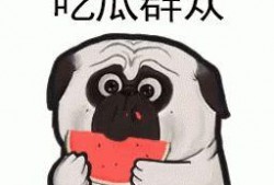 带你吃瓜312,带你吃瓜312背后的故事与真相