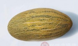 上午吃哈密瓜好吗,健康美味的选择
