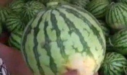 泰国吃瓜群众吃货,泰国“吃瓜群众”的美食狂欢之旅