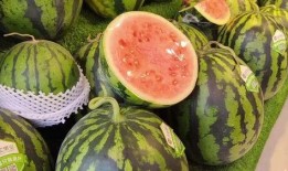 天天吃瓜ttcg,揭秘虚拟世界中的瓜田乐园