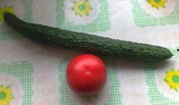 全球吃瓜视频大全,吃瓜视频大全精彩盘点