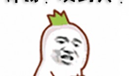 苟且吃瓜,揭秘娱乐圈的幕后故事