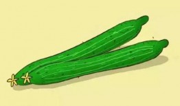 宝宝多久可以吃瓜,瓜类食物引入时间揭秘