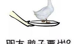 吃瓜幸运鹅完结,一场甜蜜的瓜田奇遇记