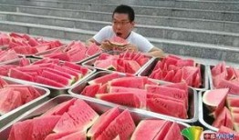 校园吃瓜哪里吃,揭秘校园内最佳“瓜地”