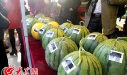 福建酒吧吃瓜事件