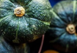 吃瓜的真实图片