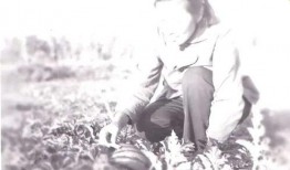 豆瓣吃瓜自由地,揭秘热门话题背后的真相与笑料