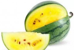 邳州哪里吃瓜最好,探寻最佳吃瓜胜地