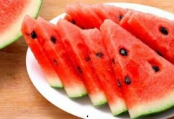 金茂公园吃瓜视频