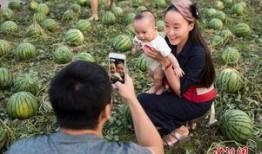 江川吃瓜群众,揭秘网络热议背后的真相与笑料