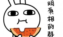 吃瓜吃错人小说,一场错综复杂的爱情纠葛